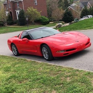 Meet your Posher, Hayden